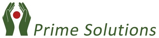 Prime Solutions